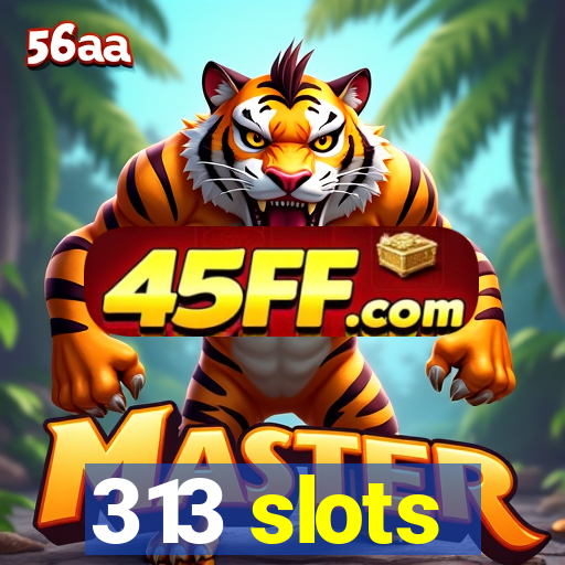 313 slots